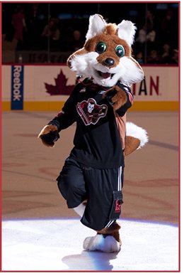 Mascot of the Calgary Hitmen, Farley the Fox, rallies the fans during  News Photo - Getty Images